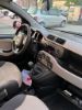 Immagine di 2014 Fiat Panda VENDUTA