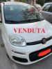 Immagine di 2014 Fiat Panda VENDUTA